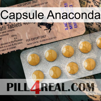 Anaconda Capsule 41